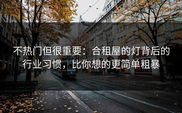 不热门但很重要：合租屋的灯背后的行业习惯，比你想的更简单粗暴