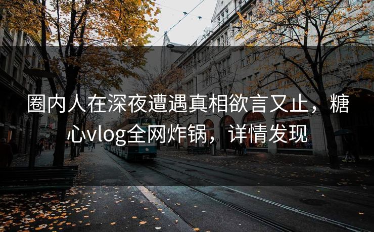 圈内人在深夜遭遇真相欲言又止，糖心vlog全网炸锅，详情发现