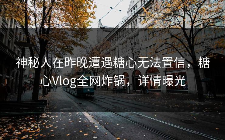 神秘人在昨晚遭遇糖心无法置信，糖心Vlog全网炸锅，详情曝光