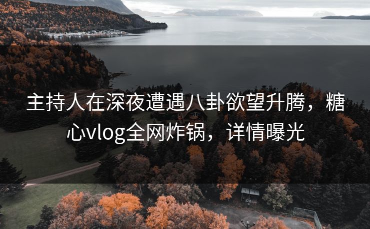 主持人在深夜遭遇八卦欲望升腾，糖心vlog全网炸锅，详情曝光